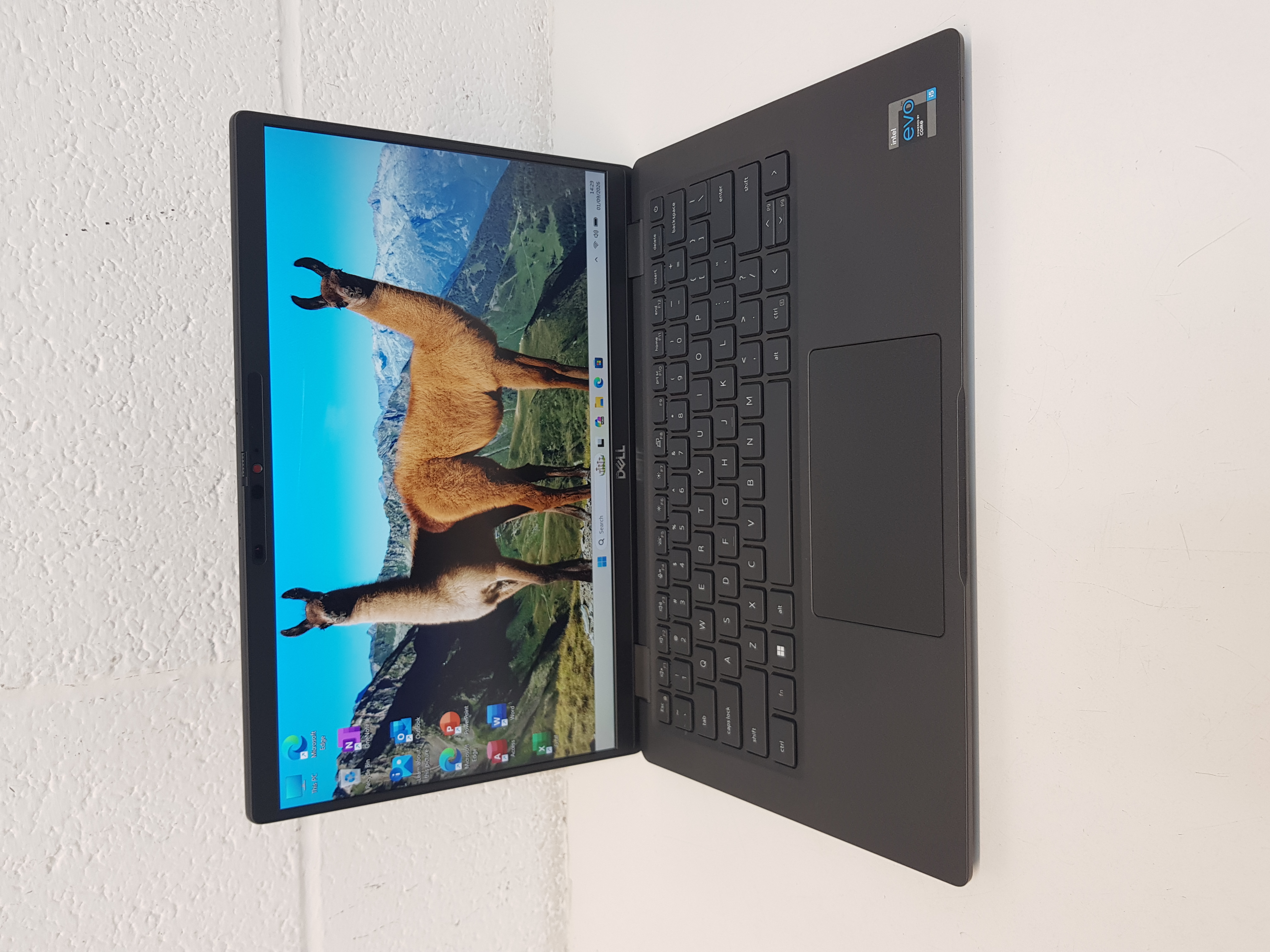 Fast Dell Laptop, 11th Gen of intel Core i5, 16GB Memory, 256GB Storage, MS Office 2021, Windows 11 — additional photo