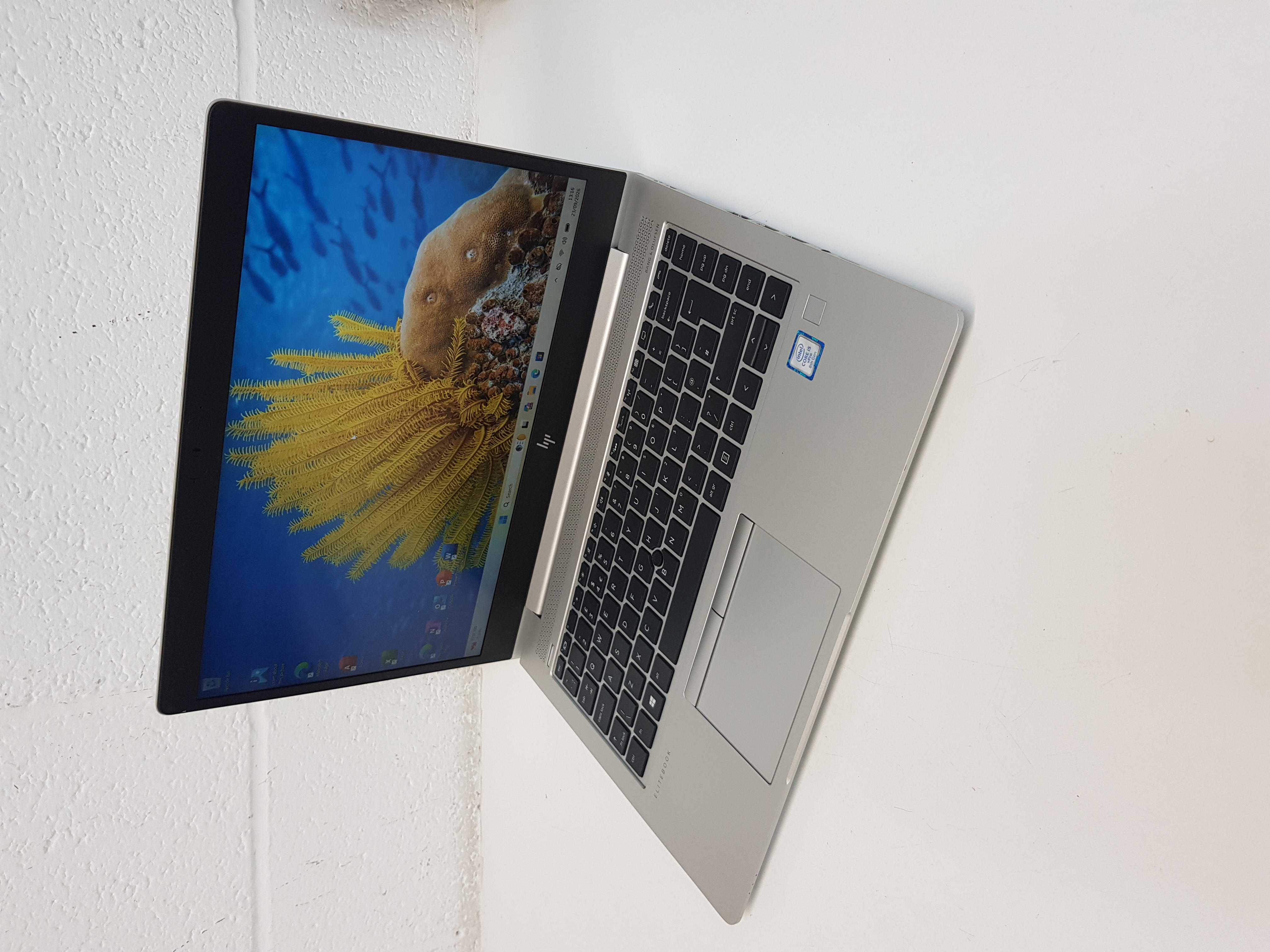HP Fast Laptop, core i5-8th Gen processor, 8GB Memory, 256GB Storage, MS Office 2021, Windows 11 — additional photo