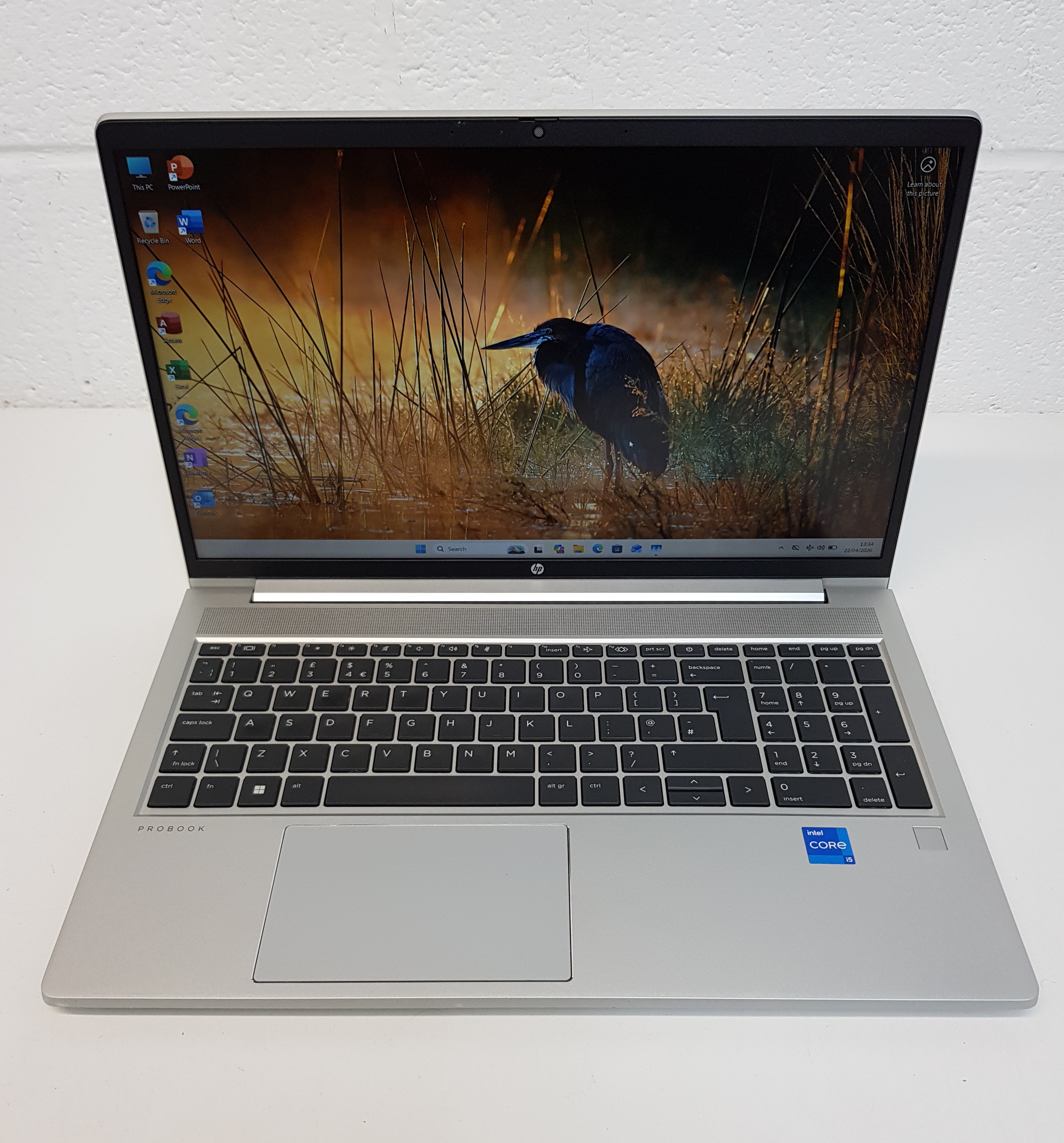 HP ProBook 450 G10 Business Laptop | Excellent Condition