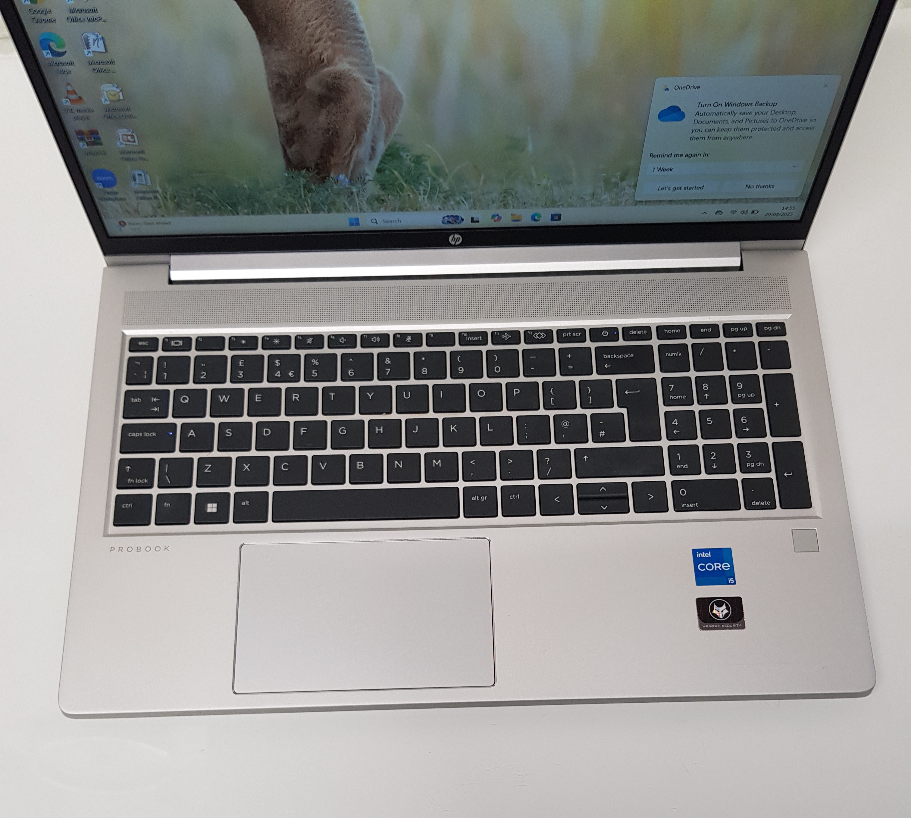 HP Laptop | Intel i5 12th Gen | 16GB RAM | 256GB SSD | Windows 11 | £330 — additional photo
